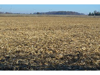 Tracts 4 & 5 - FARMLAND AUCTION - 165.5+/- ACRES OFFERED IN 5 TRACTS OR COMBINATIONS IN EAST ALLEN COUNTY